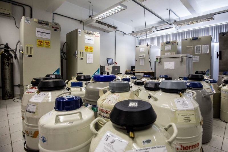 O armazenamento de vacinas dependeria da realocação das amostras biológicas existentes em cada um dos aparelhos. – Foto: Anderson Coelho/ND