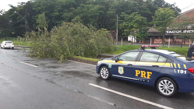 Autopista Arteris Litoral Sul far&aacute; a limpeza e libera&ccedil;&atilde;o da via durante a noite desta quarta-feira (6) – Foto: Ricardo Alves/NDTV