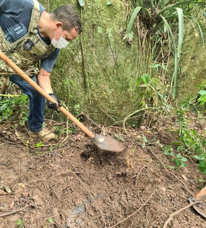 Policial cava para encontrar cadáver enterrado no mato na comunidade da Nova Descoberta, em Florianópolis