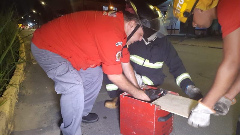 Resgate ocorreu na noite desta ter&ccedil;a-feira (12), na zona Sul da cidade – Foto: Ricardo Alves/NDTV