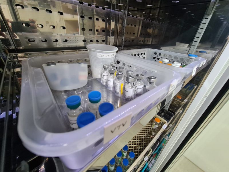 Doses de vacinas com as tampas azuis e cinzas colocadas em um reservatório de armazenamento de cor transparente dentro de um refrigerador