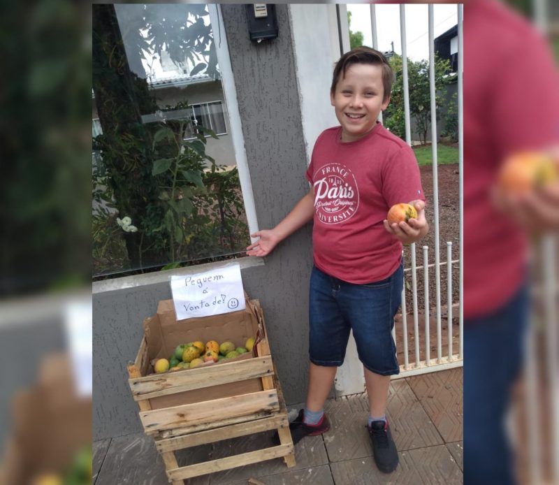Na imagem aparece o menino Gustavo com uma manga na mão. Ele está em pé com uma camiseta vermelha e um calção jeans azul escuro e calça um tênis preto com as meias cinzas. Gustavo aponta com a mão esquerda para a caixa de mangas que está em frente a sua casa. Em cima tem uma placa escrito Peguem a vontade.