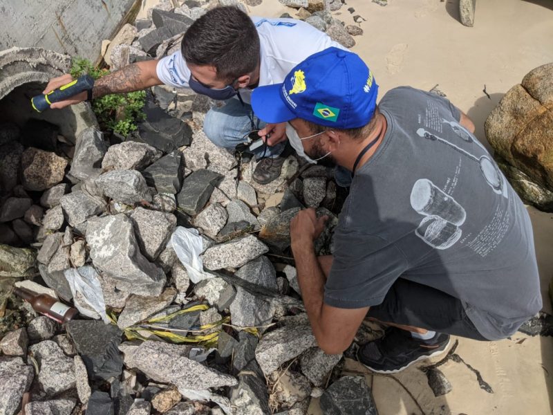 For&ccedil;a-tarefa foi realizada nesta semana em Ingleses, no Norte da Ilha – Foto: Diego Berselli/Floripa Se Liga Na Rede/PMF/Divulga&ccedil;&atilde;o/ND