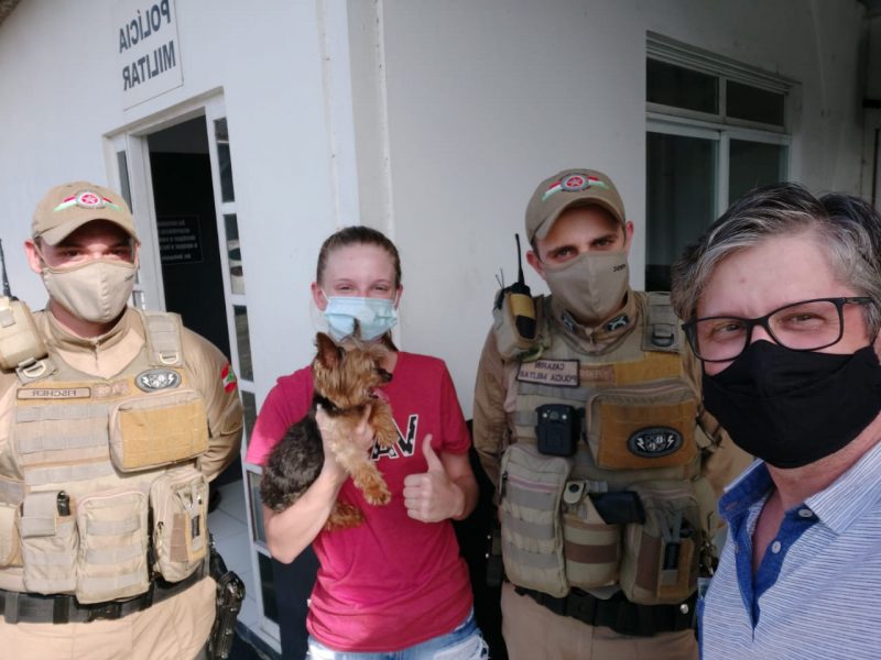 Cachorro foi encontrado e devolvido &agrave; fam&iacute;lia – Foto: Pol&iacute;cia Militar/Divulga&ccedil;&atilde;o