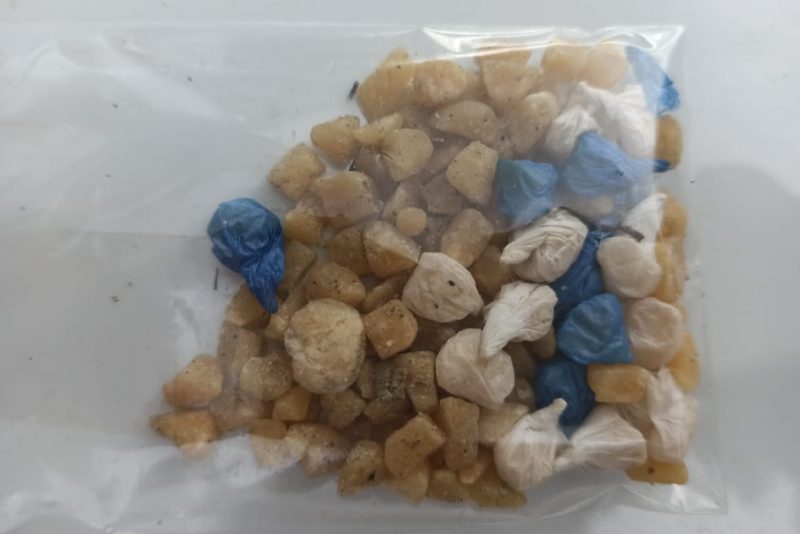 Pol&iacute;cia apreende crack e coca&iacute;na com ajuda de c&atilde;o farejador, em Blumenau – Foto: Divulga&ccedil;&atilde;o / PM Blumenau