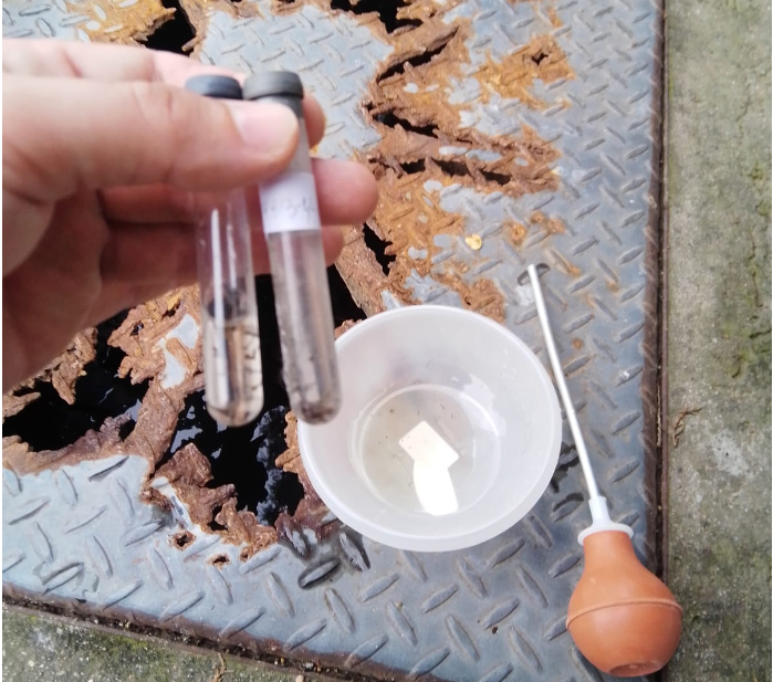 A partir deste ano, 12 bairros passaram a ser considerados infestados de acordo com a Prefeitura da Capital – Foto: PMF/Divulga&ccedil;&atilde;o/ND