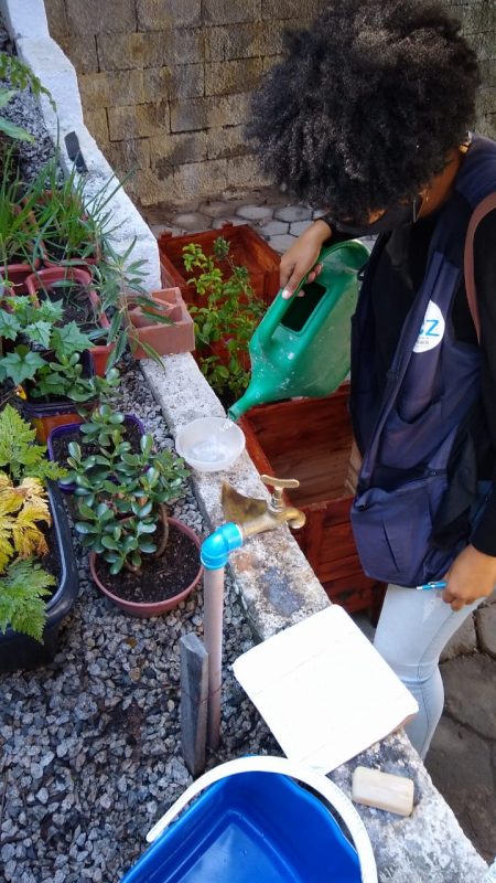 Eliminar os focos de &aacute;gua parada e manter os pratos de vasos de flores e plantas com areia s&atilde;o algumas medidas para prevenir a doen&ccedil;a – Foto: PMF/Divulga&ccedil;&atilde;o/ND