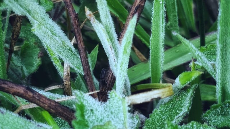 Fen&ocirc;meno &eacute; raro, mas pode ocorrer em dias de c&eacute;u claro – Foto: Mycchel Legnaghi/S&atilde;o Joaquim Online