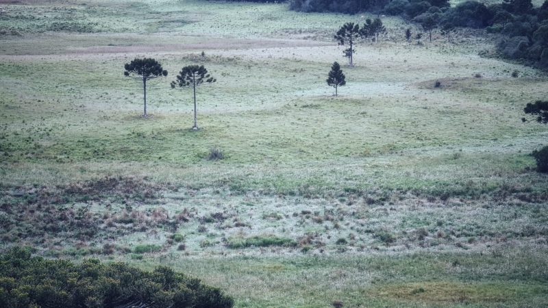 Dia amanheceu com geada em v&aacute;rias cidades serranas – Foto: Mycchel Legnaghi/S&atilde;o Joaquim Online