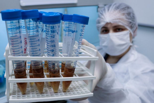 Pesquisa da UFSC sequencia genomas do novo coronav&iacute;rus para tra&ccedil;ar estrat&eacute;gias de combate &agrave; pandemia – Foto: Mauricio Vieira/Secom/Divulga&ccedil;&atilde;o ND