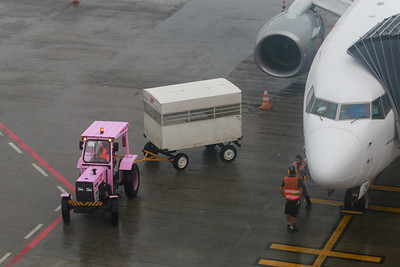 Remoção das caixas com vacinas, do avião que transportou as doses para SC; nesta segunda remessa, o Estado recebeu 47,5 unidades – Foto: Julio Cavalheiro/Secom
