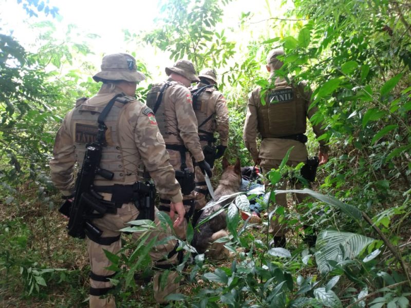 Foragido da justiça é preso pela PM após roubo no bairro Esplanada – Foto: PM Chapecó/Divulgação