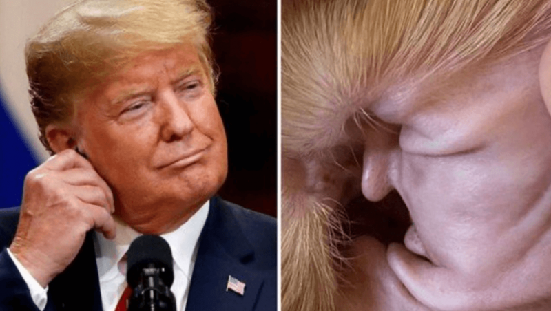 Trump original e sua vers&atilde;o ouvido de cachorro. S&oacute; na internet mesmo. – Foto: Reprodu&ccedil;&atilde;o Reddit