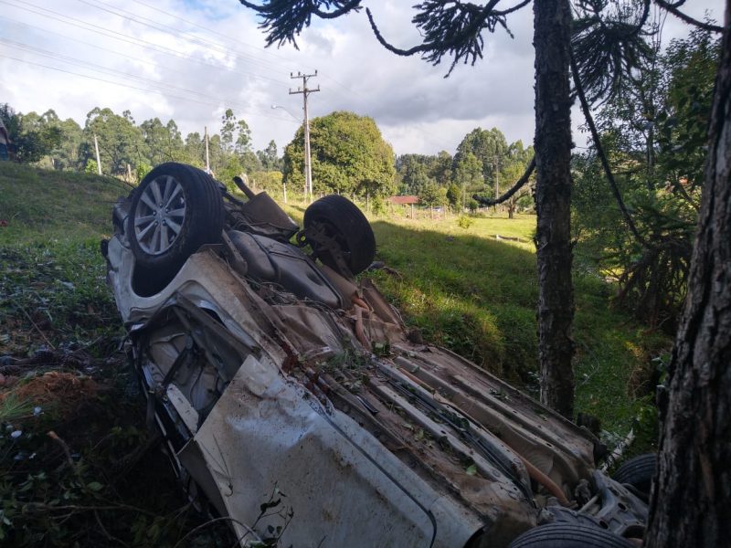 Motorista de 33 anos morreu após bater carro contra árvore – Foto: PMRv/Divulgação/ND