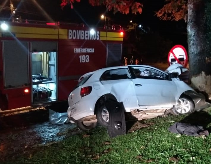 Carro que André dirigia bateu de frente em uma árvore – Foto: Divulgação/ND