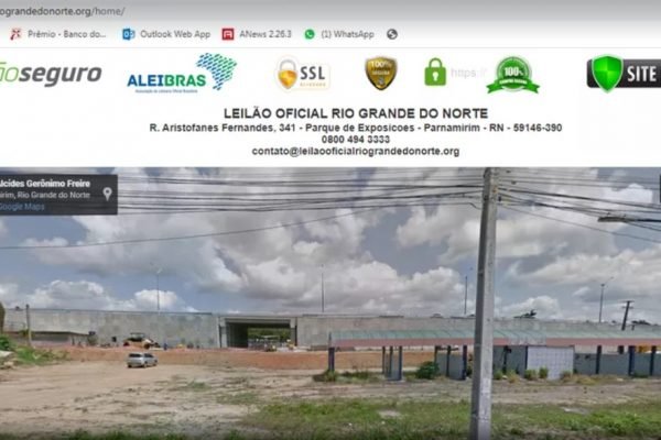 Site usa bras&atilde;o oficial do Estado e copia elementos gr&aacute;ficos do site do governo estadual – Foto: Reprodu&ccedil;&atilde;o/ND