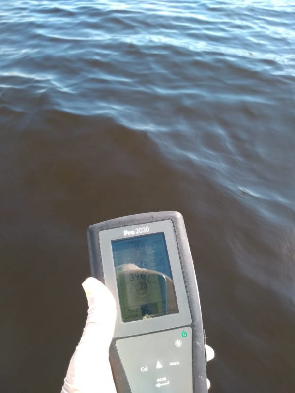 Resultado de um monitoramento do Lafic. Foto: Divulga&ccedil;&atilde;o/Lafic/ND