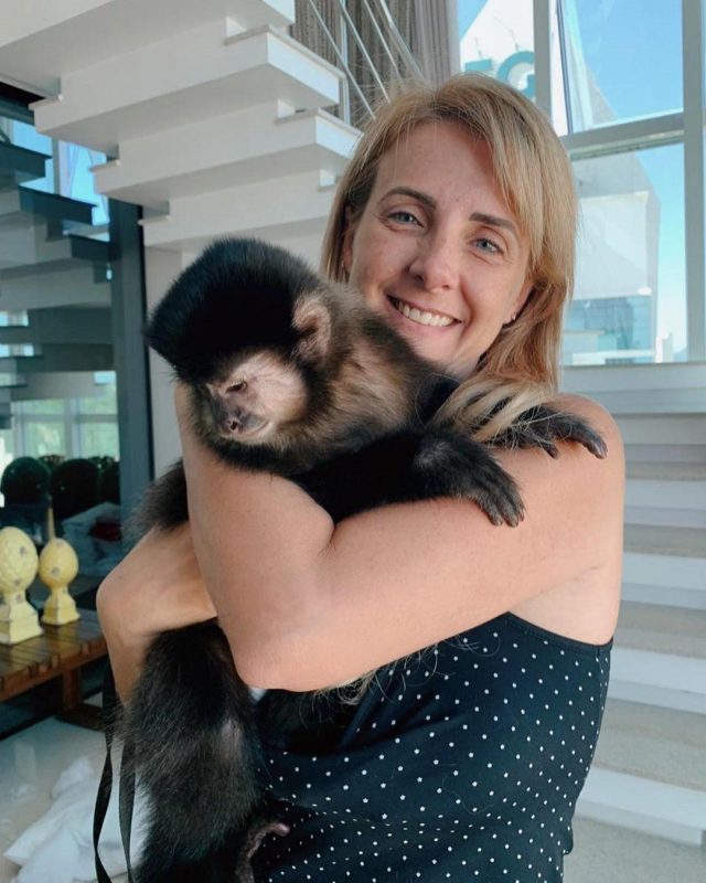 Conheça Antônio, o macaco-prego que faz sucesso em Balneário Camboriú