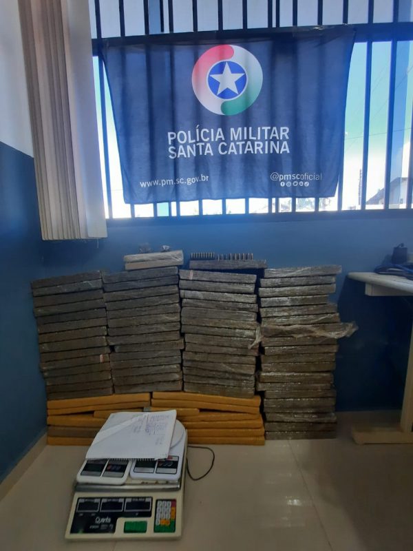PM apreendeu 60 Kg de maconha em Balne&aacute;rio Pi&ccedil;arras e um homem foi preso – Foto: PMSC/Divulga&ccedil;&atilde;o
