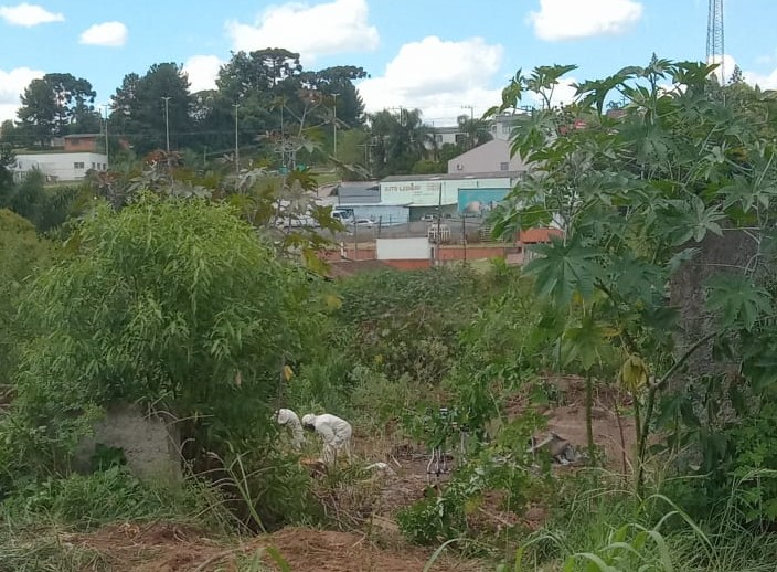Homem foi picado por todo o corpo na sexta-feira (19) – Foto: Bombeiros Militares/Divulga&ccedil;&atilde;o