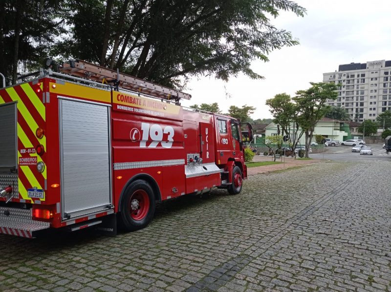 Animal foi encontrado em um dos escrit&oacute;rios da empresa – Foto: Tarsila Elbert/ND