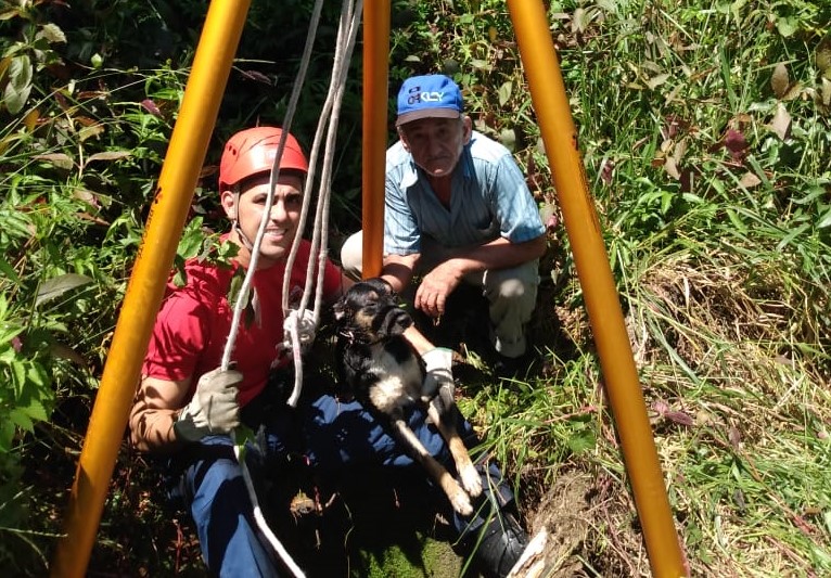 Cachorro caiu em poço de aproximadamente cinco metros na tarde de sexta-feira (5) – Foto: Bombeiros Militares/Divulgação