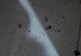 Fam&iacute;lia gravou estado da casa ap&oacute;s a a&ccedil;&atilde;o policial – Foto: Arquivo pessoal/Divulga&ccedil;&atilde;o