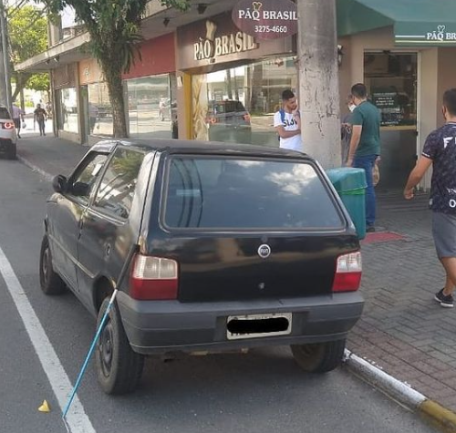 Durante o resgate, cobra picou um dos bi&oacute;logos – Foto: Christian Raboch/Divulga&ccedil;&atilde;o/ND
