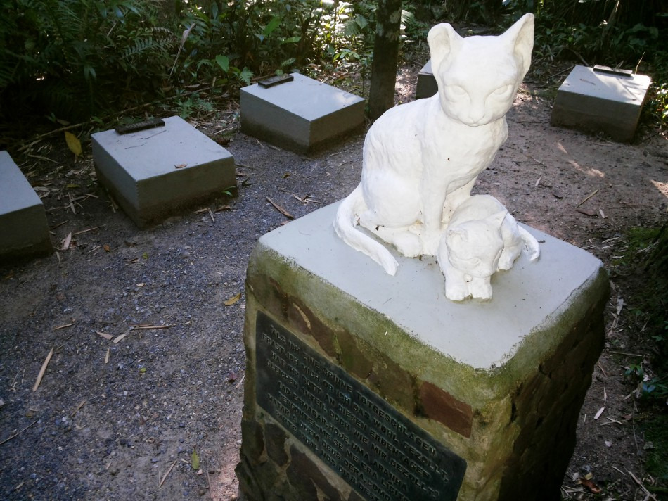 G1 - Cemitério de gatos em SC esconde história de atriz, da fama à clausura  - notícias em Santa Catarina