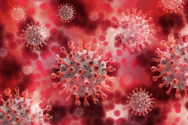 Novas variantes do novo coronavírus são encontrados em Goiás &#8211; Foto: Pixabay