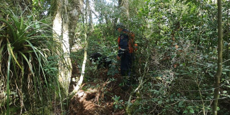 Suspeito de crime em Campo Belo do Sul pode ser apreendido nos próximos dias