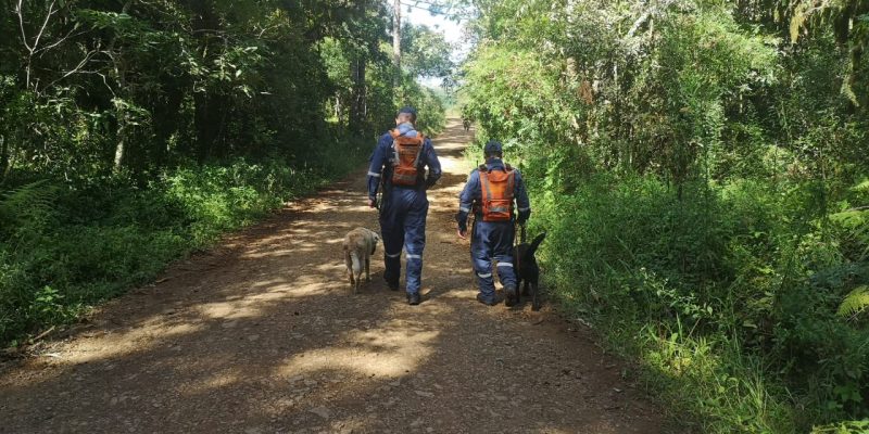 Dois binômios do Corpo de Bombeiros contribuíram com as buscas. – Foto: Corpo de Bombeiros/Divulgação/ND