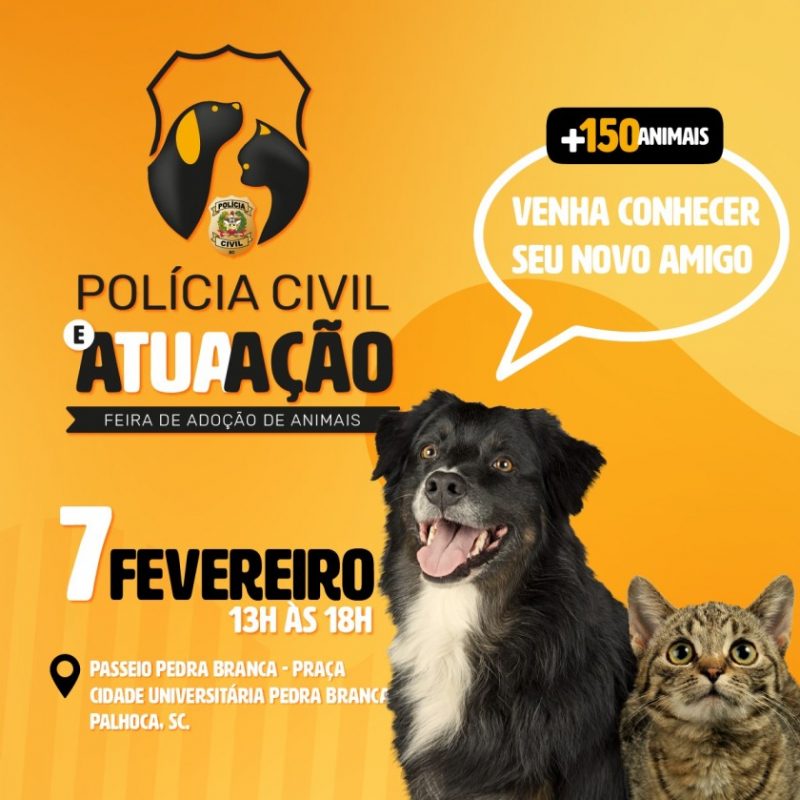 Expectativa &eacute; doar uma centena de c&atilde;es e gatos – Foto: doa&ccedil;&atilde;o animais