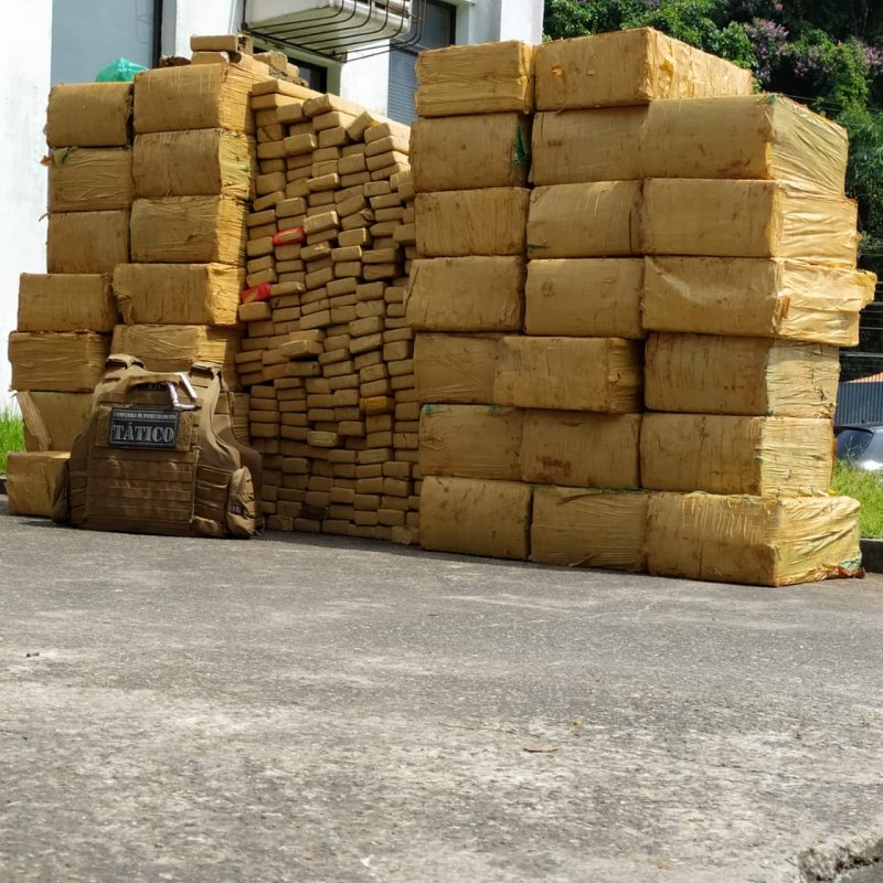 Droga estava em uma casa da zona Norte de Joinville – Foto: Ricardo Moreira/NDTV