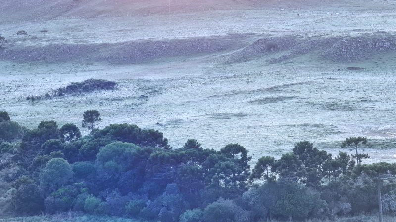 Uma geada em pleno fevereiro de 2021 deixou a paisagem com ares típicos de inverno – Foto: Mycchel Legnaghi/São Joaquim Online