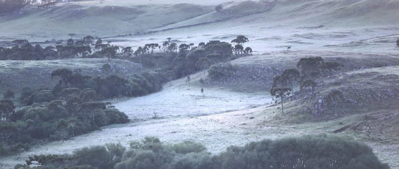 O Vale dos Caminhos da Neve fica a cerca de 3 km ao Sul de São Joaquim, na Serra catarinense – Foto: Mycchel Legnaghi /São Joaquim Online
