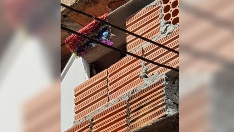 Criança era mantida nua dentro de um barril 