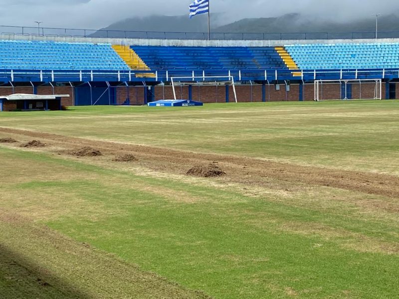 Gramado da Ressacada durante reforma
