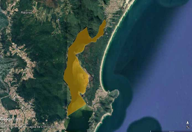 Foram registradas mortes de v&aacute;rios animais aqu&aacute;ticos na Lagoa da Concei&ccedil;&atilde;o – Foto: Reprodu&ccedil;&atilde;o/ND