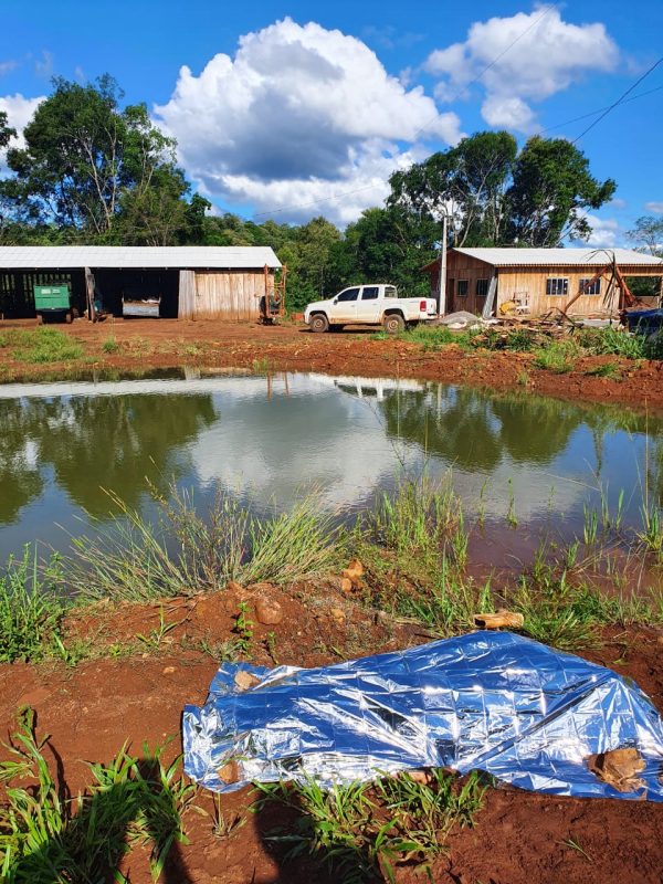 O homem teve cerca de 100 ferroadas pelo corpo. – Foto: Marcos Lewe WH Comunica&ccedil;&otilde;es