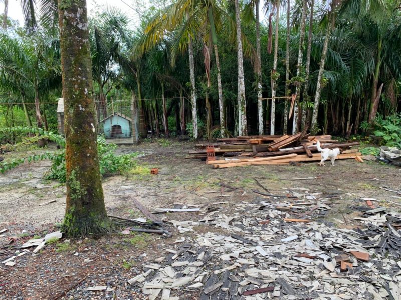 Local onde a nova casa será erguida; terreno está sendo limpo para dar largada à obra – Foto – Mikael Melo/NDTV Joinville