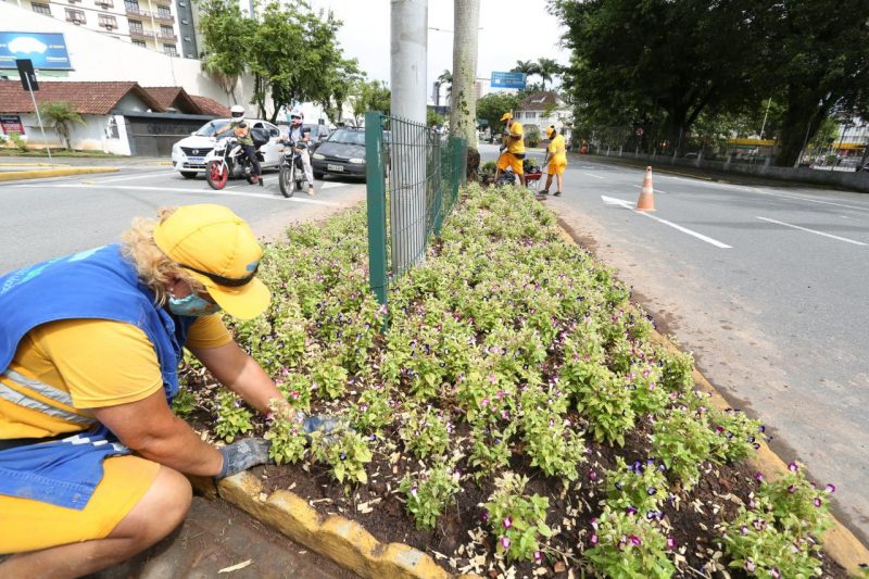 Inscri&ccedil;&otilde;es podem ser feitas no site da Prefeitura de Joinville – Foto: Prefeitura de Joinville/Divulga&ccedil;&atilde;o/ND