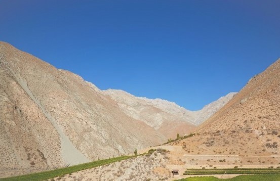 Viñedos Alcohuaz, do Vale de Elqui no Chile, projeto do Enólogo Marcelo Retamal que produz apenas vinhos naturais – Foto: Divulgação