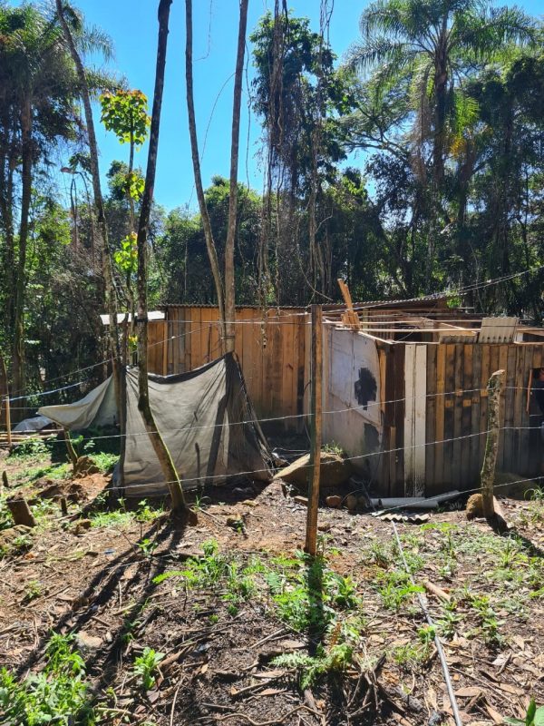 Celesc tamb&eacute;m identificou o furto de energia el&eacute;trica – Foto: PMSJ/Divulga&ccedil;&atilde;o/ND