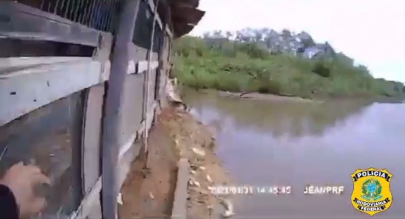 Persegui&ccedil;&atilde;o no bairro Pachecos, em Palho&ccedil;a – Foto: prf