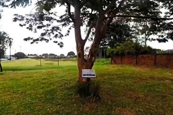 Al&eacute;m de multa, suspeito pode responder por outros crimes ambientais – Foto: Reprodu&ccedil;&atilde;o/RPC