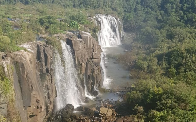 Local onde foi encontrado o corpo do homem – Foto: Corpo de Bombeiros/ND