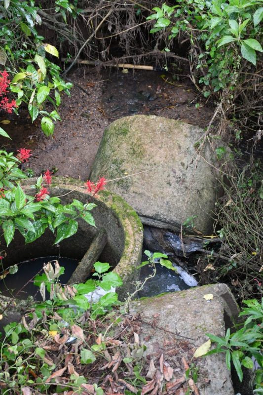 Tratamento de esgoto sanit&aacute;rio em Joinville est&aacute; evoluindo, diz &Aacute;guas de Joinville – Foto: Salmo Duarte/ND