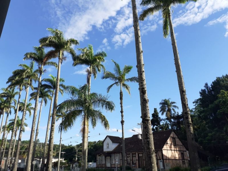 Previs&atilde;o do tempo Blumenau – Foto: Ketlin Ciquelero