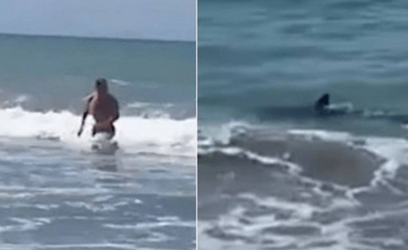 Banhista tenta correr para escapar do tubar&atilde;o – Foto: Reprodu&ccedil;&atilde;o